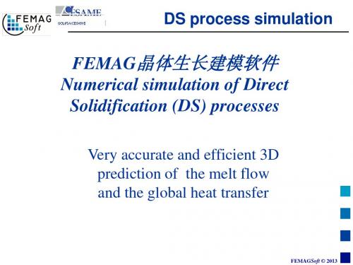 FEMAG晶体生长建模软件-DS法(定向凝固法)模拟