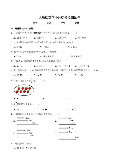 人教版六年级小升初数学试卷(附答案解析)