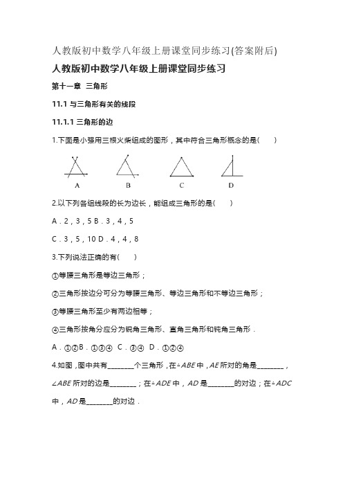 八年级上册数学同步解析与测评答案人教版