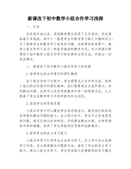 新课改下初中数学小组合作学习浅探