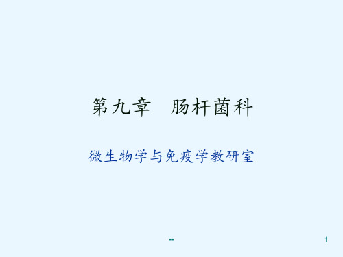 微肠杆菌科弧菌螺旋菌属PPT课件