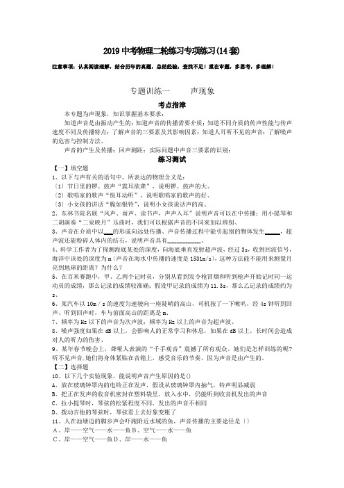 2019中考物理二轮练习专项练习(14套).doc