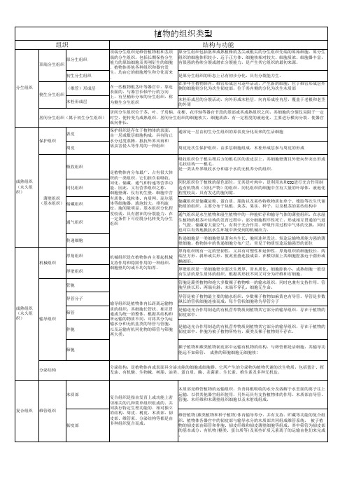 植物组织的类型