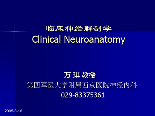 临床神经解剖学 ppt课件