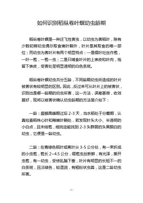 如何识别稻纵卷叶螟幼虫龄期