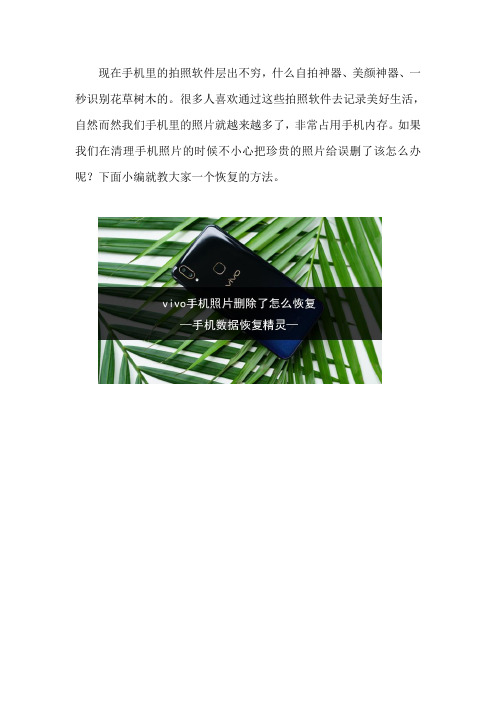 vivo手机照片删除了怎么恢复