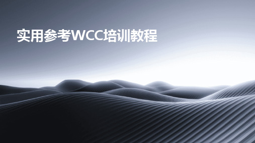 2024版实用参考WCC培训教程