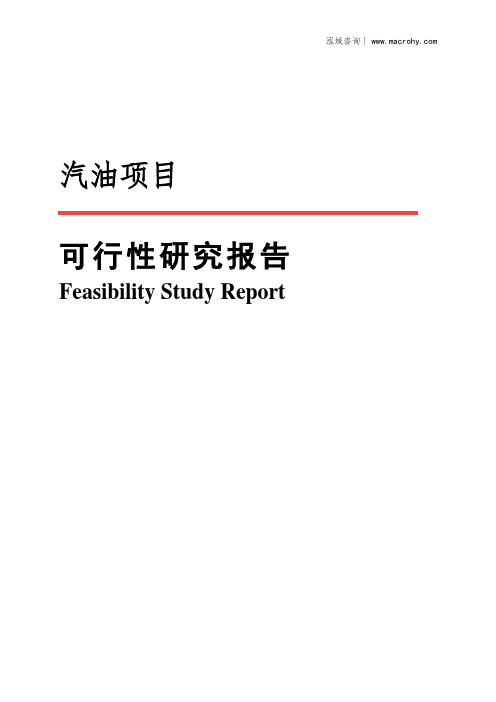 汽油项目可行性研究报告