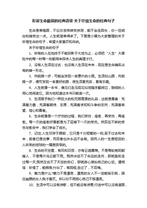 形容生命脆弱的经典语录关于珍惜生命的经典句子