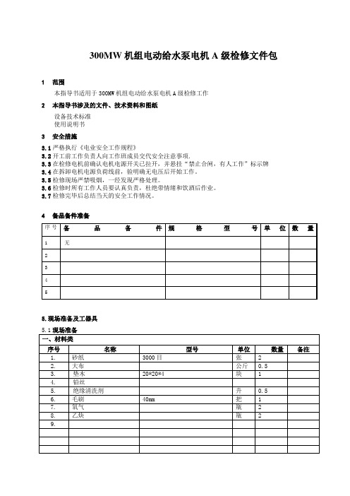 300MW机组电动给水泵电机检修文件包