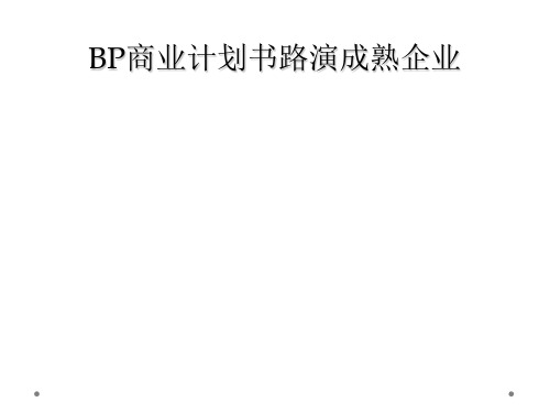 BP商业计划书路演成熟企业