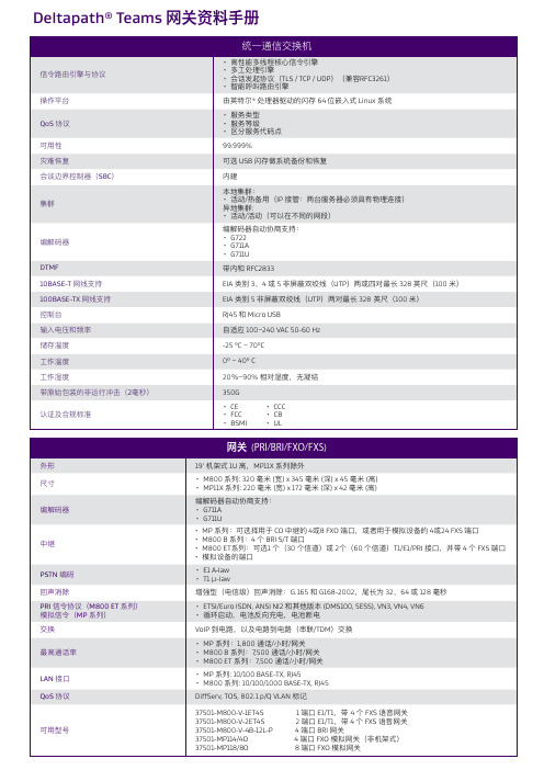 Deltapath Teams 网关资料手册说明书