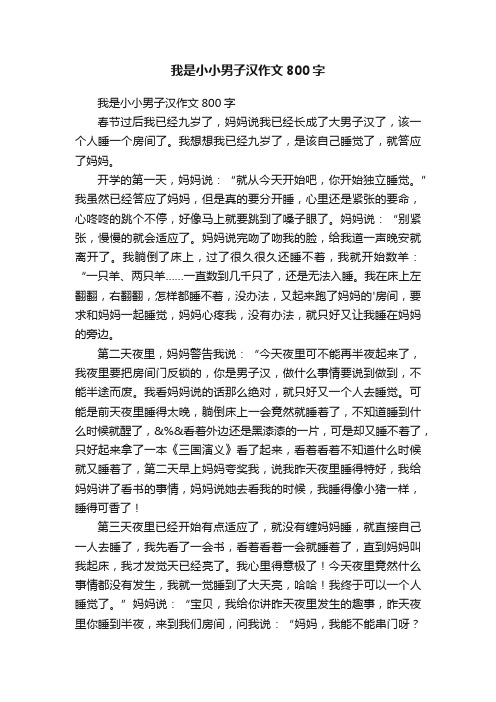 我是小小男子汉作文800字