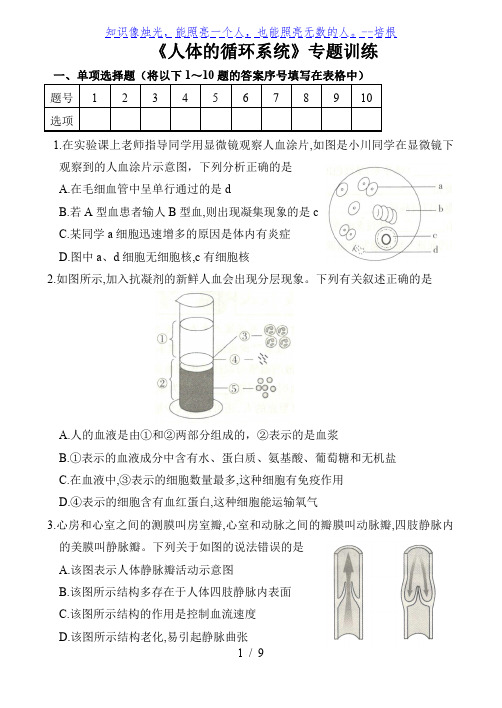 人教版七年级生物下册专题训练卷 ： 人体的循环系统(解析版)