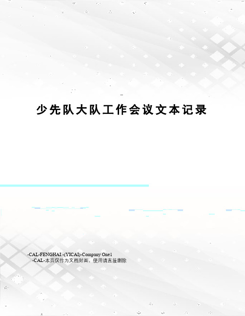 少先队大队工作会议文本记录