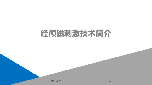 经颅磁刺激技术简介  ppt课件