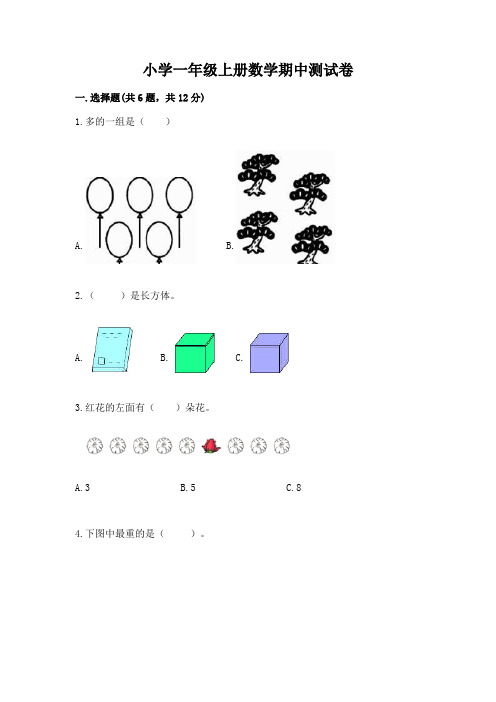 小学一年级上册数学期中测试卷(历年真题)