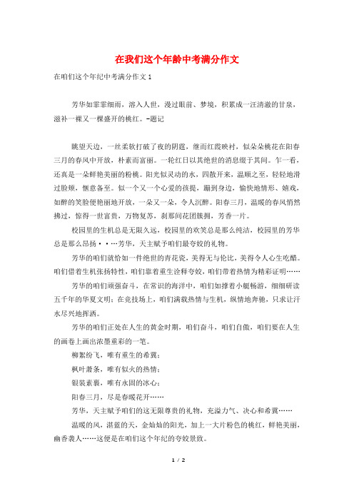 在我们这个年龄中考满分作文