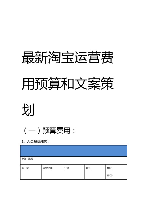 天猫和淘宝运营费用预算和文案策划