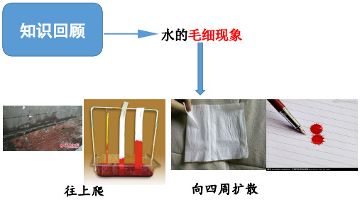 水的表面张力