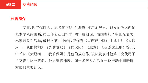 中考语文复习PPT语文积累与运用名著阅读《艾青诗选》PPT【新版】名师课件