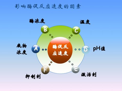 酶促反应动力学 碱性磷酸酶Km值测定