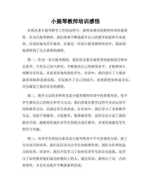 小提琴教师培训感悟