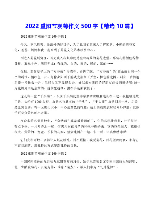 2022重阳节观菊作文500字【精选10篇】