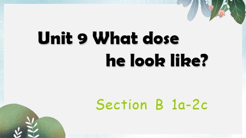 人教版七年级下教学课件：Unit+9++What+does+he+look+like+1a-2c