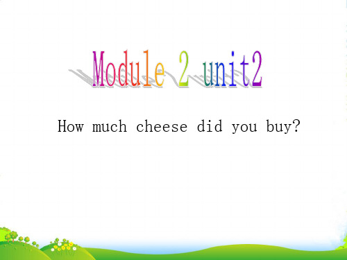 新外研版五年级英语上册《How much cheese did you buy》课件