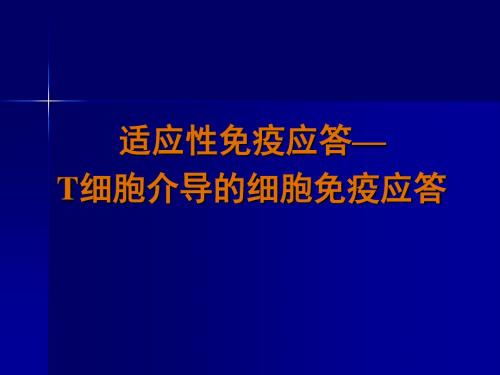 免疫学13T细胞介导的细胞免疫应答-PPT文档资料