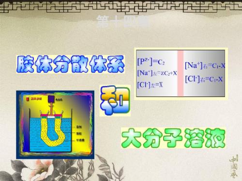 14胶体分散系统和大分子溶液 共47页