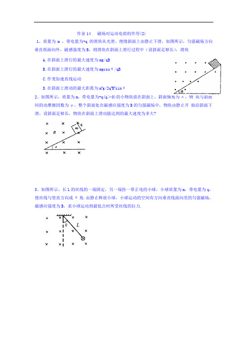 江苏省射阳县第二中学物理选修3-1磁场活作业14  精品