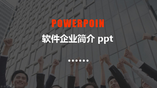 软件企业简介 ppt