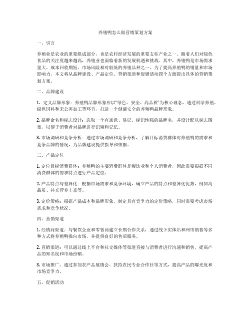 养殖鸭怎么做营销策划方案