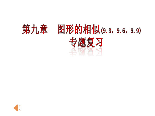 八年级数学下《图形的相似》专题复习课件