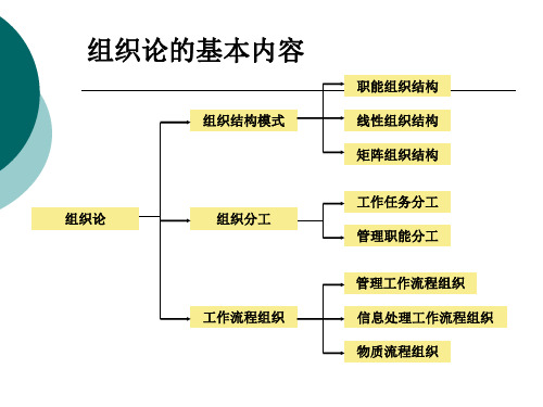 22补充内容：任务分工、管理职能分工、工作流程组织讲解