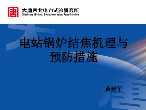 电站锅炉结焦机理与预防措施-cdt