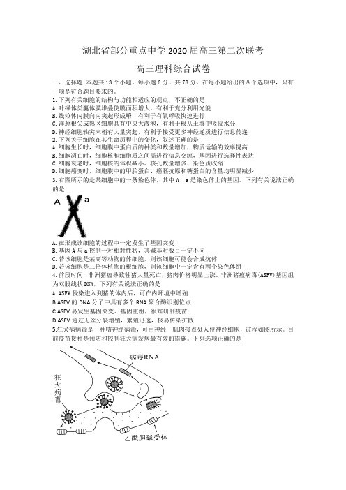 湖北省部分重点中学2020届高三第二次联考理综生物试题