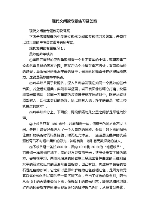 现代文阅读专题练习及答案