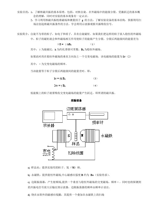 核磁共振物理实验报告