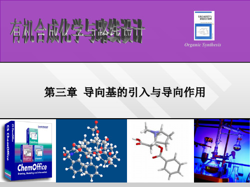 导向基的引导