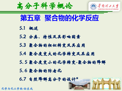 第5章 聚合物的化学反应