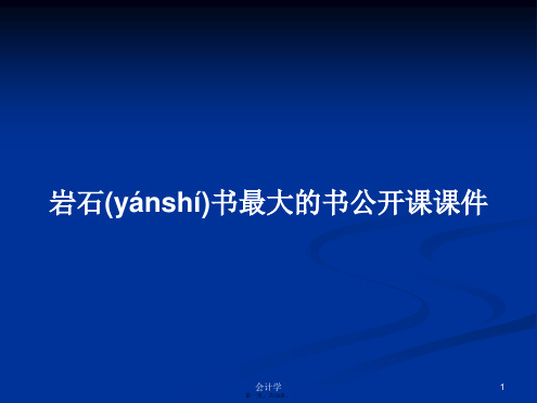 岩石书最大的书公开课课件学习教案