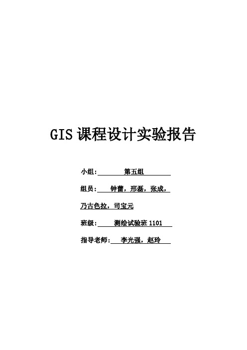 中南大学GIS课程设计实验报告