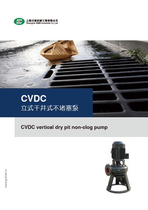 CVDC立式干井式不堵塞泵