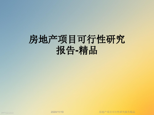 房地产项目可行性研究报告精品