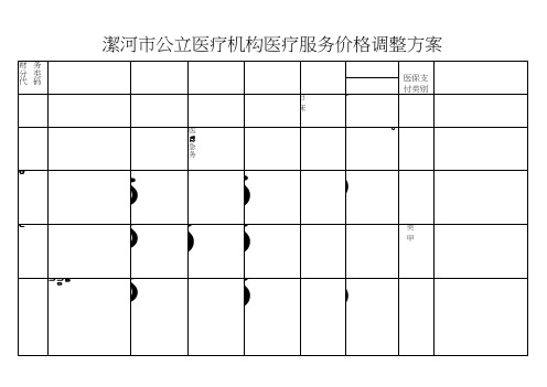 漯河市公立医疗机构医疗服务价格调整方案