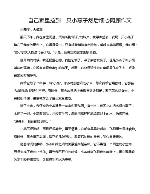 自己家里捡到一只小燕子然后细心照顾作文