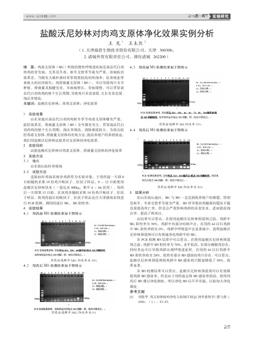 盐酸沃尼妙林对肉鸡支原体净化效果实例分析